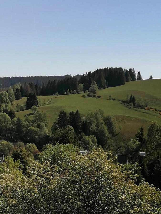 Crisand Wald &Terrasse Angebot 2Xeintrittskarten Therme Fuer November 2024 อัลเทอเนา ภายนอก รูปภาพ